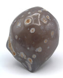 Enhydro Occo Agate Geode
