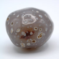 Enhydro Occo Agate Geode