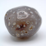 Enhydro Occo Agate Geode