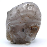Enhydro Occo Agate Geode