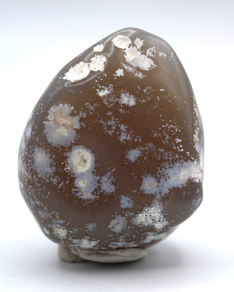 Enhydro Occo Agate Geode