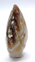 Enhydro Occo Agate Geode