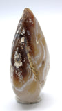 Enhydro Occo Agate Geode