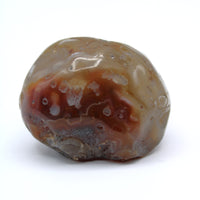 Enhydro Occo Agate Geode