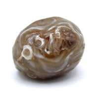 Enhydro Occo Agate Geode