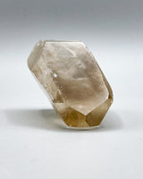 Single Point Lemurian Quartz Specimen