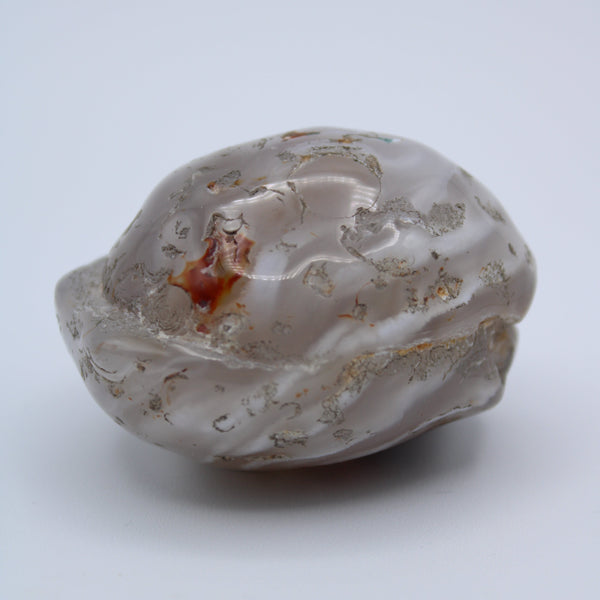 Enhydro Occo Agate Geode