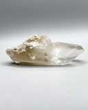 Single Point Lemurian Quartz Specimen
