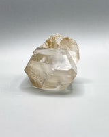 Single Point Lemurian Quartz Specimen