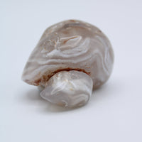 Enhydro Occo Agate Geode