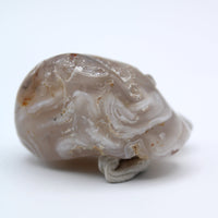 Enhydro Occo Agate Geode
