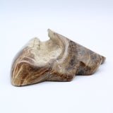 Brown Onyx Free-Form