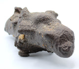 Fulgurite Specimen