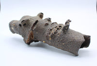 Fulgurite Specimen