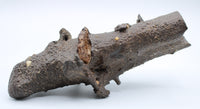 Fulgurite Specimen