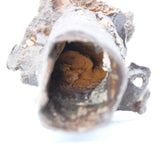 Fulgurite Specimen