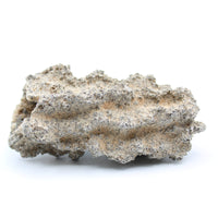 Fulgurite Specimen