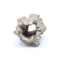 Fulgurite Specimen