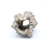 Fulgurite Specimen