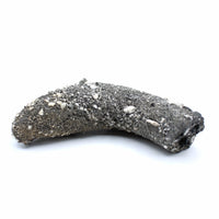 Fulgurite Specimen
