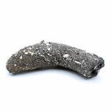Fulgurite Specimen