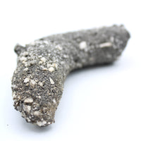Fulgurite Specimen