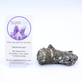 Fulgurite Specimen