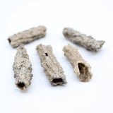 Fulgurite Specimens