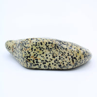 Dalmatian Jasper Free-Form