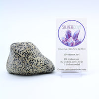 Dalmatian Jasper Free-Form
