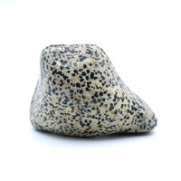 Dalmatian Jasper Free-Form
