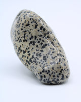 Dalmatian Jasper Free-Form