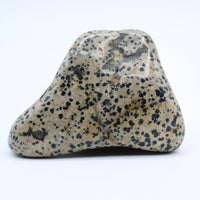 Dalmatian Jasper Free-Form