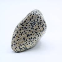 Dalmatian Jasper Free-Form