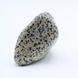 Dalmatian Jasper Free-Form