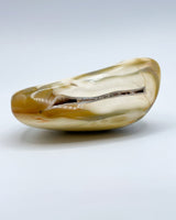 Freeform Polished Orca Agate Specimen
