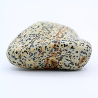 Dalmatian Jasper Free-Form