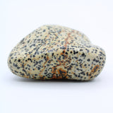 Dalmatian Jasper Free-Form