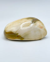 Freeform Polished Orca Agate Specimen