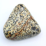 Dalmatian Jasper Free-Form