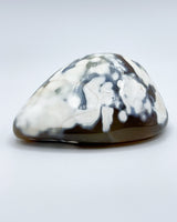 Freeform Polished Orca Agate Specimen