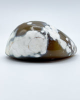 Freeform Polished Orca Agate Specimen