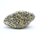 Dalmatian Jasper Free-Form