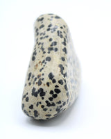 Dalmatian Jasper Free-Form
