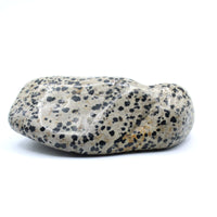 Dalmatian Jasper Free-Form