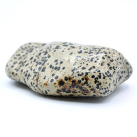 Dalmatian Jasper Free-Form