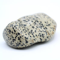 Dalmatian Jasper Free-Form