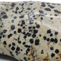 Dalmatian Jasper Free-Form