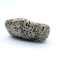 Dalmatian Jasper Free-Form