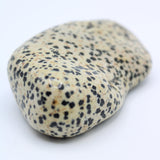 Dalmatian Jasper Free-Form